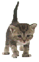 experiments image